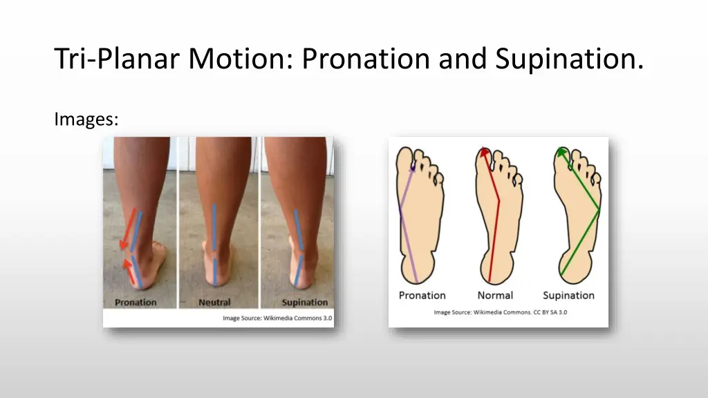 tri planar motion pronation and supination