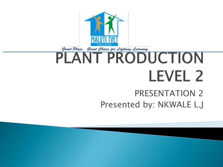 presentation 2 presented by nkwale l j