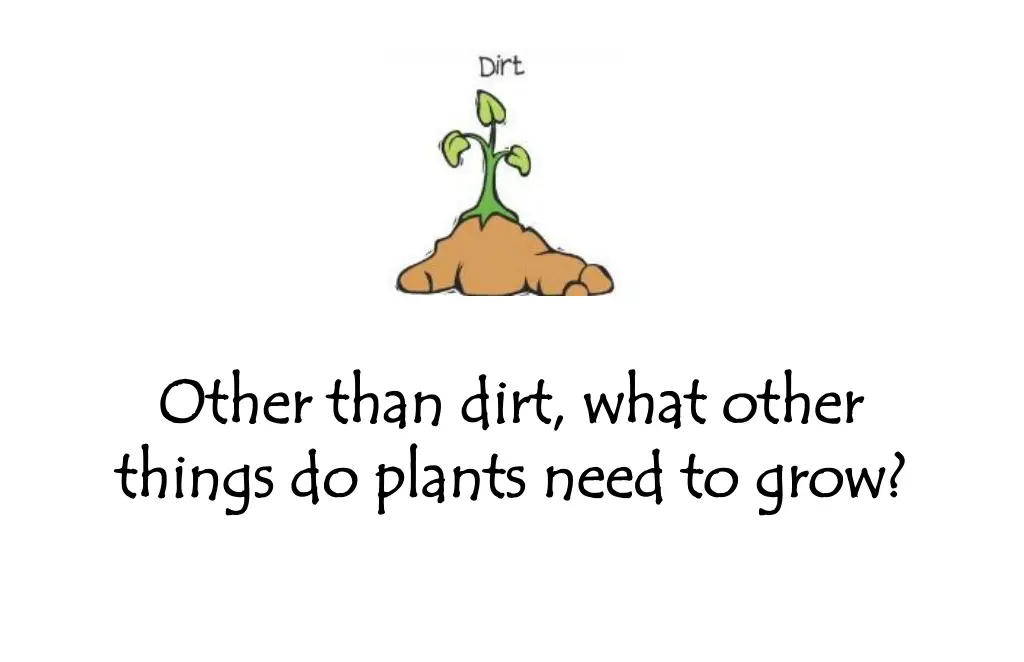 other than dirt what other other than dirt what