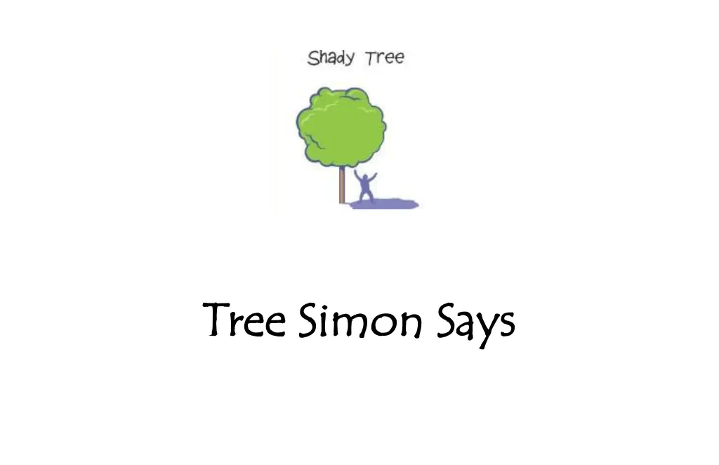 tree simon says tree simon says