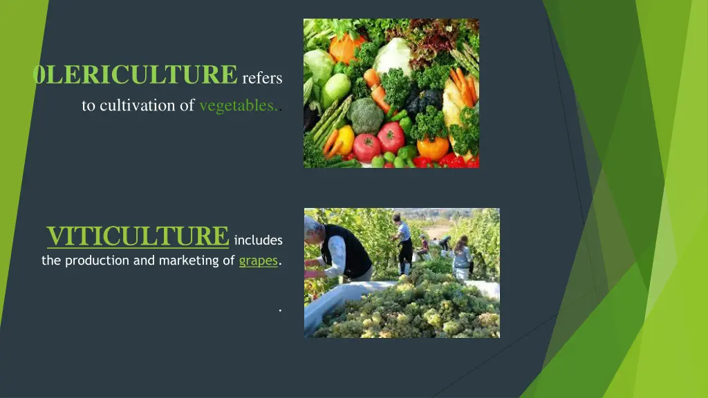 0lericulture refers to cultivation of vegetables