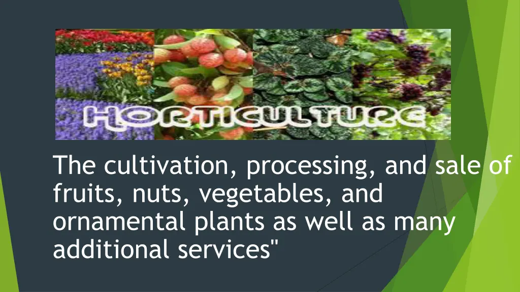 the cultivation processing and sale of fruits