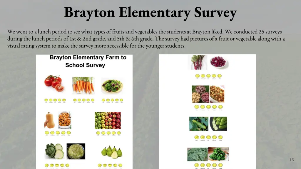 brayton elementary survey