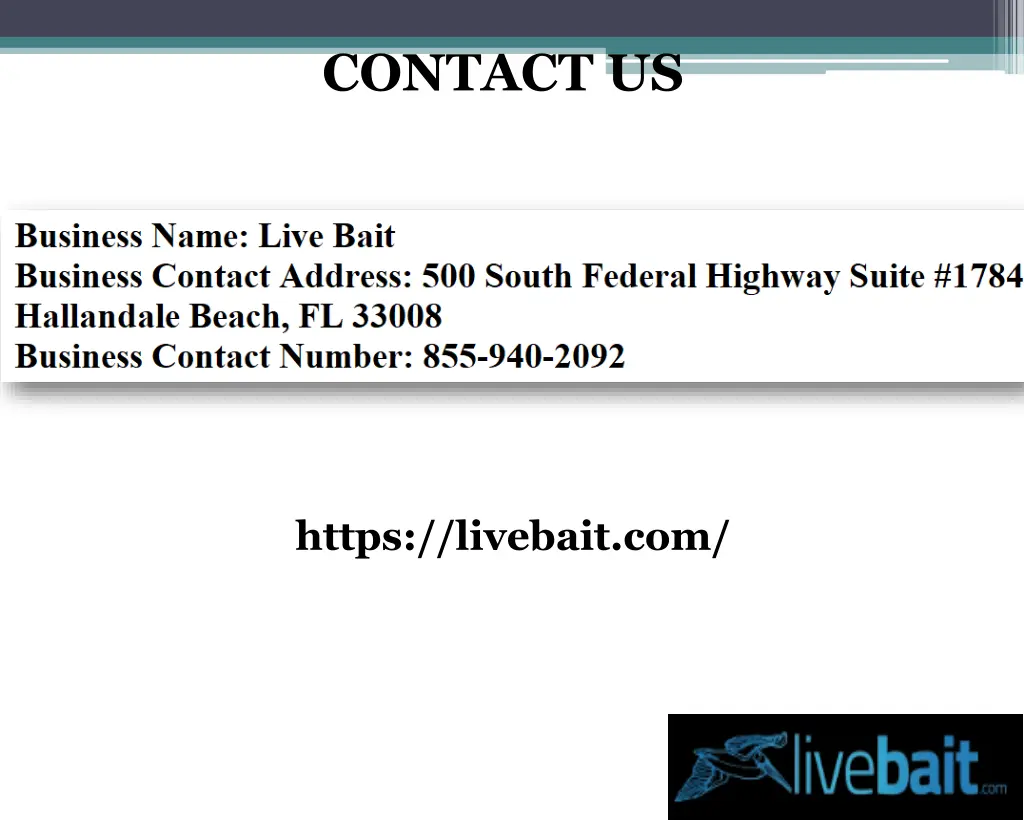 contact us