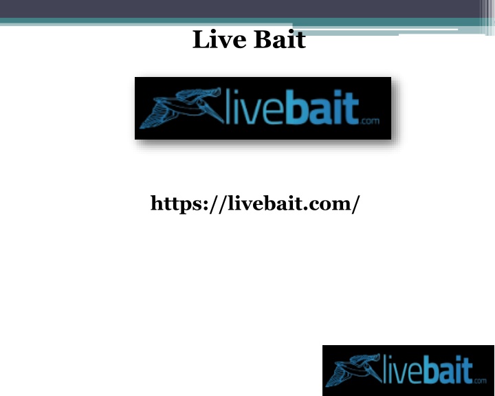 live bait