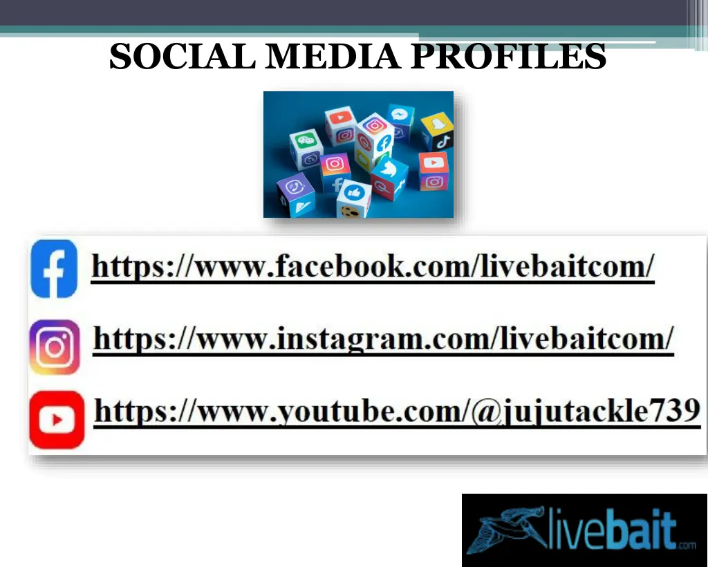 social media profiles