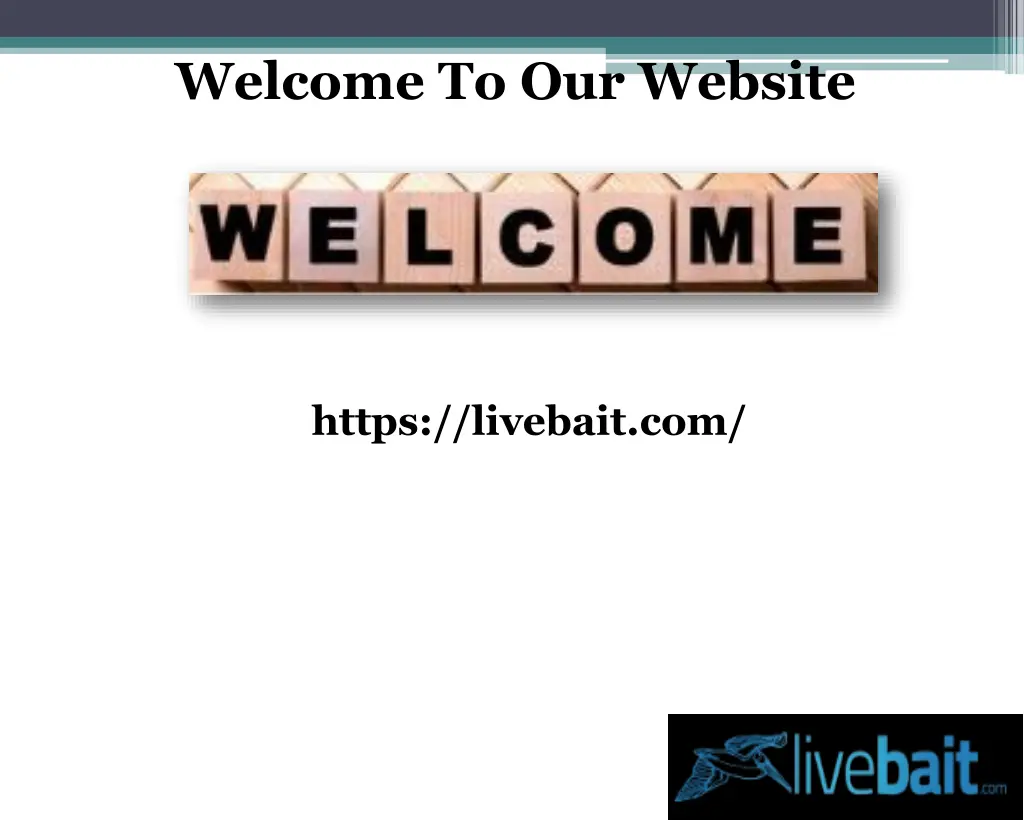 welcome to our website