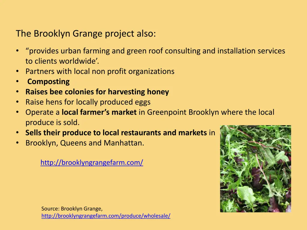 the brooklyn grange project also