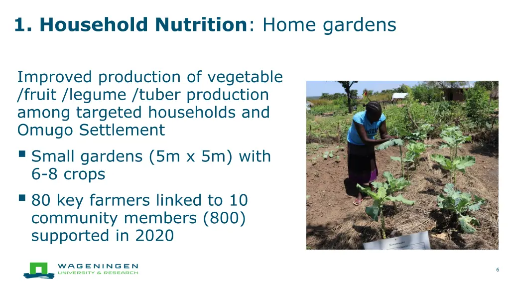 1 household nutrition home gardens