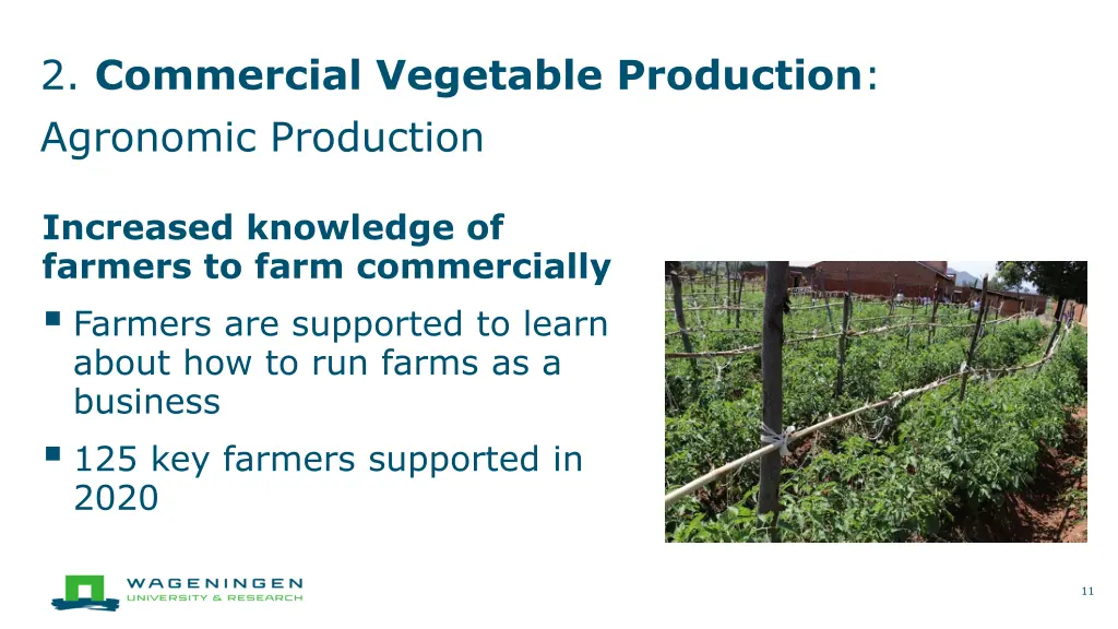 2 commercial vegetable production agronomic