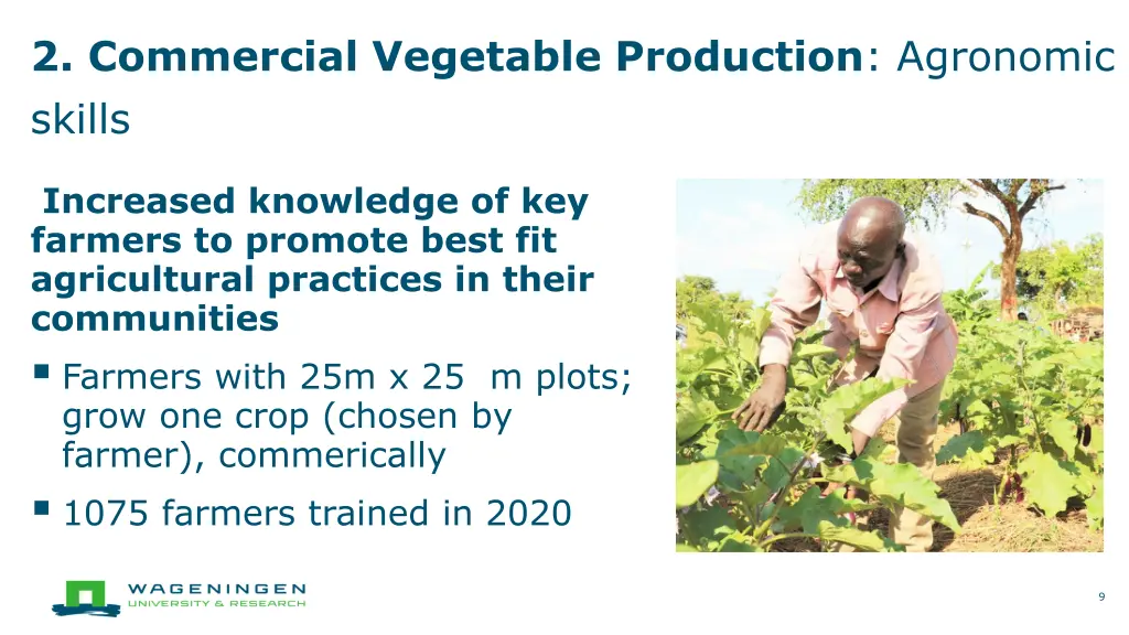 2 commercial vegetable production agronomic skills