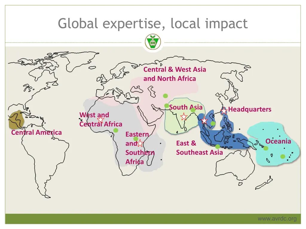 global expertise local impact