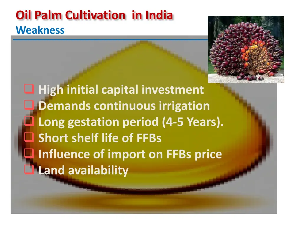 oil palm cultivation in india weakness