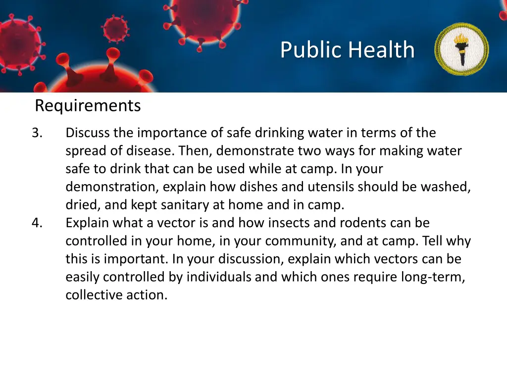 public health 2