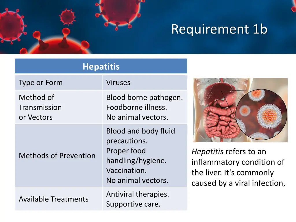 requirement 1b 7