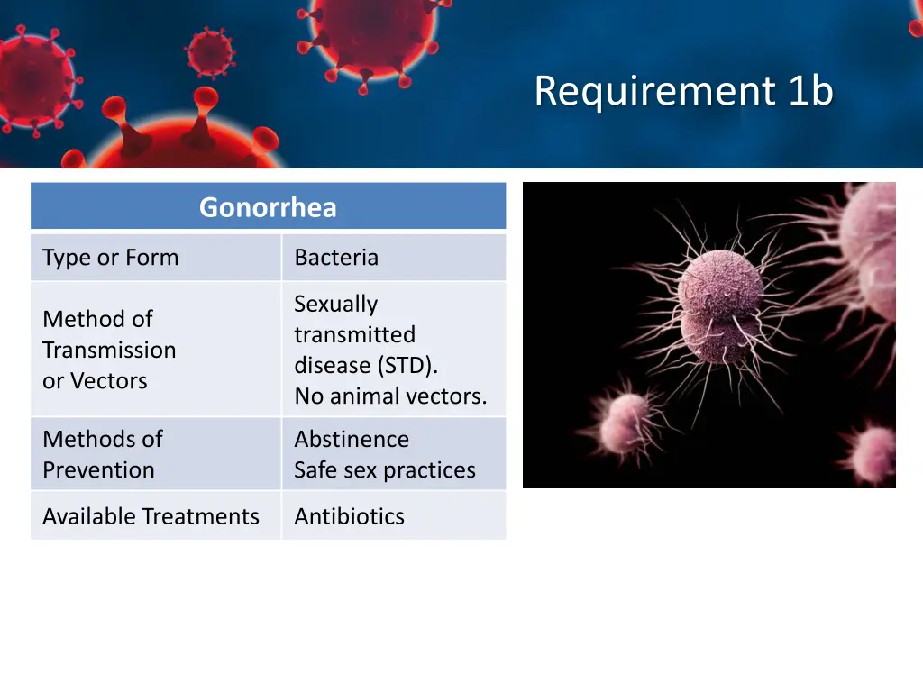 requirement 1b