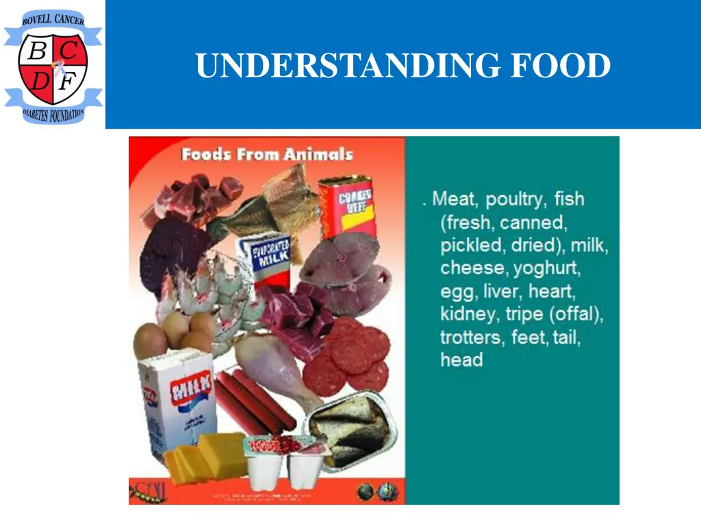 understanding food 15