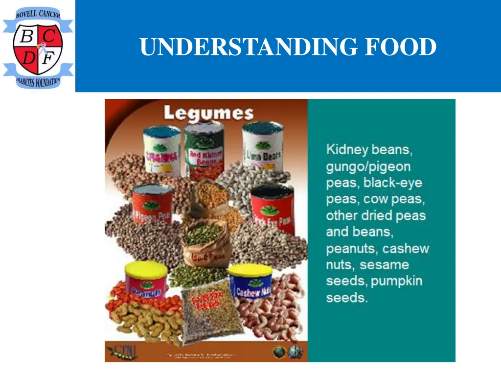 understanding food 16