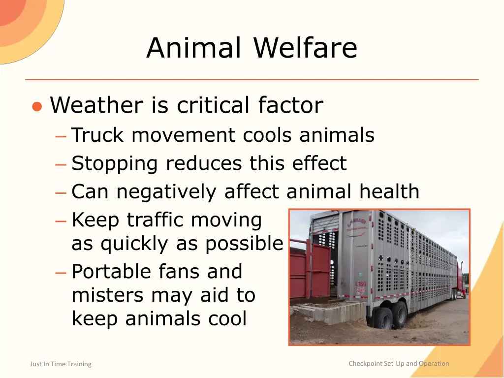 animal welfare