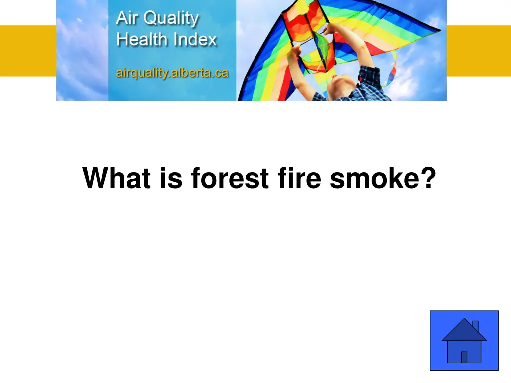 what is forest fire smoke