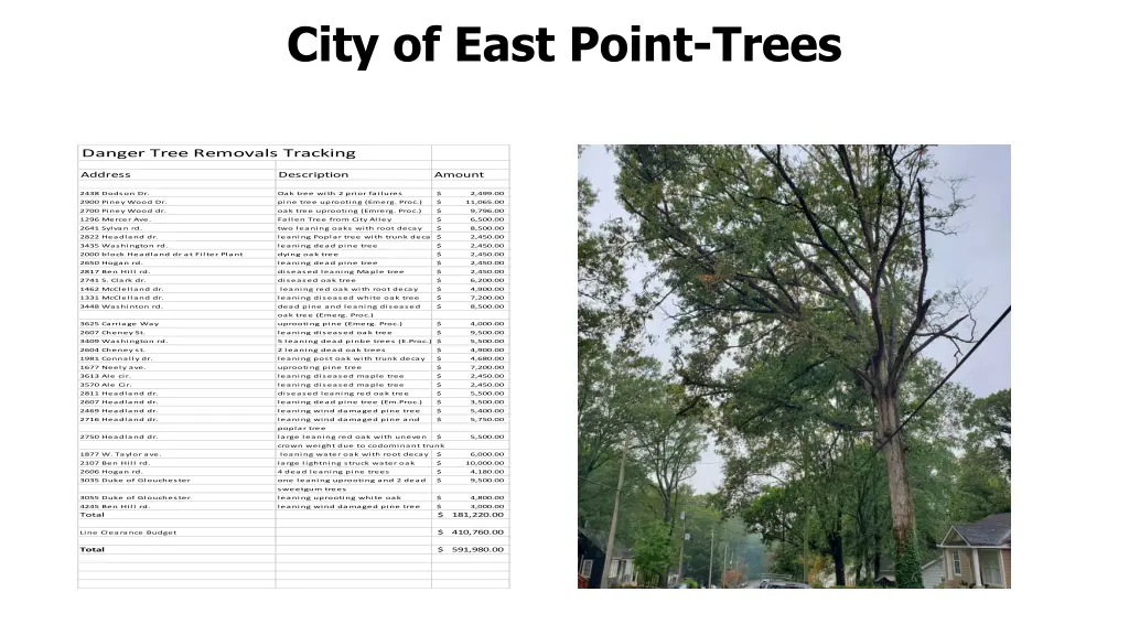 city of east point trees