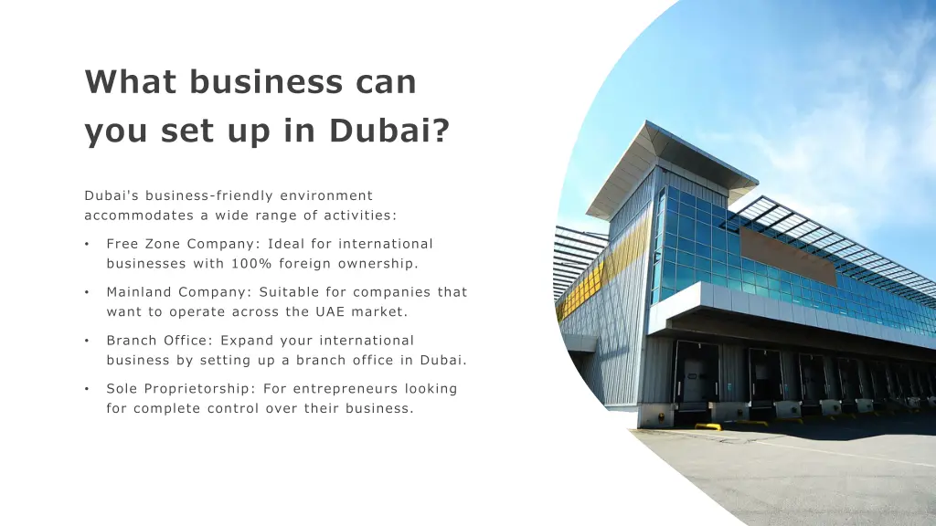 what business can you set up in dubai