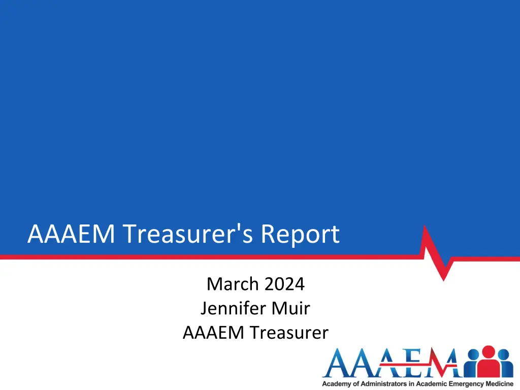 aaaem treasurer s report