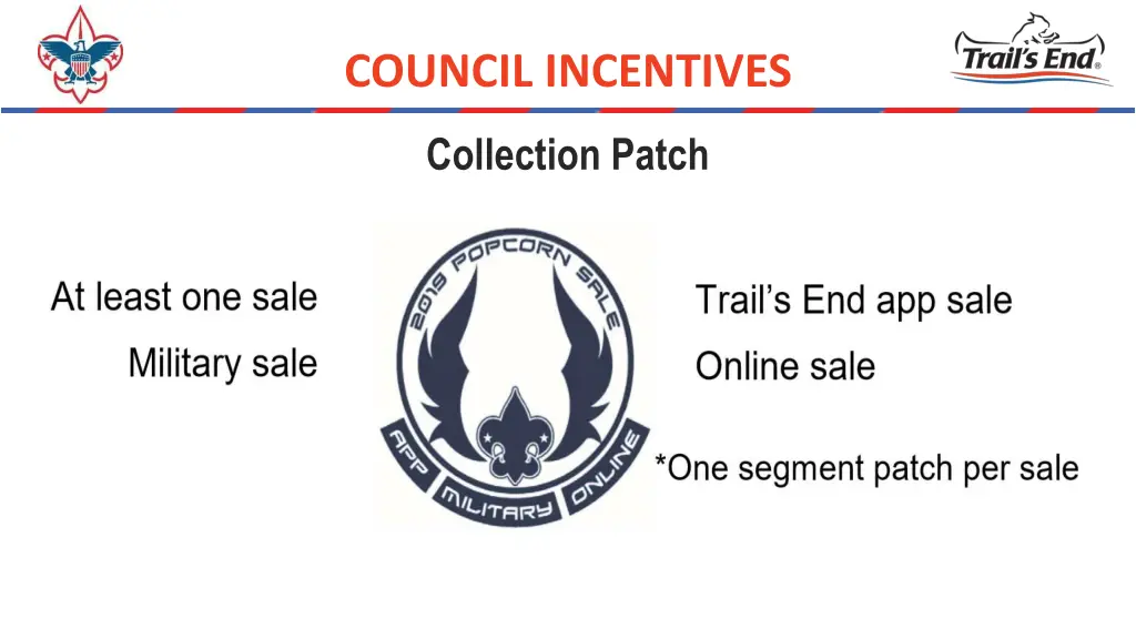 council incentives 1