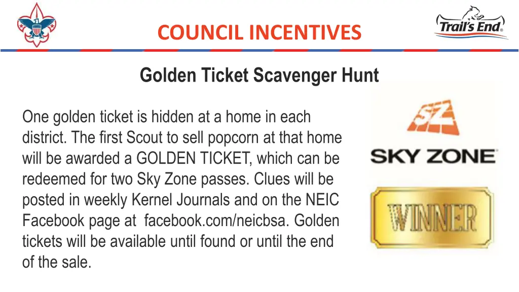 council incentives