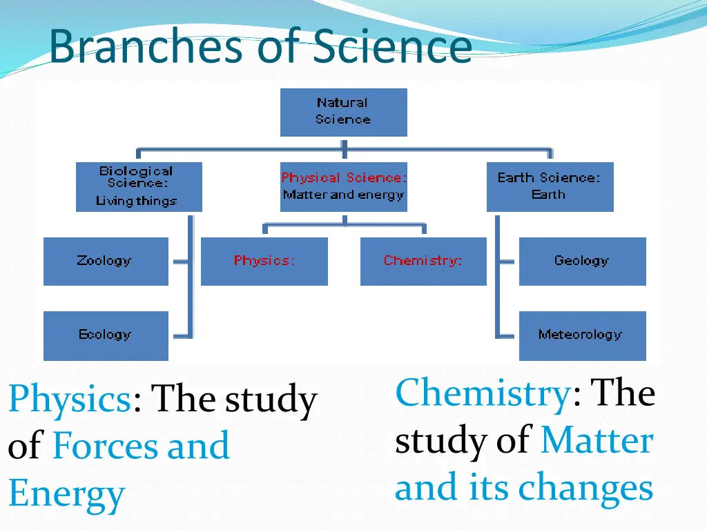 branches of science