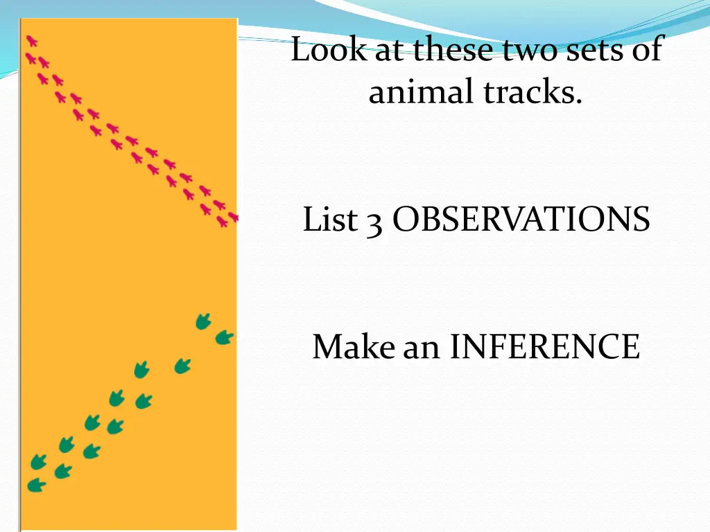 look at these two sets of animal tracks