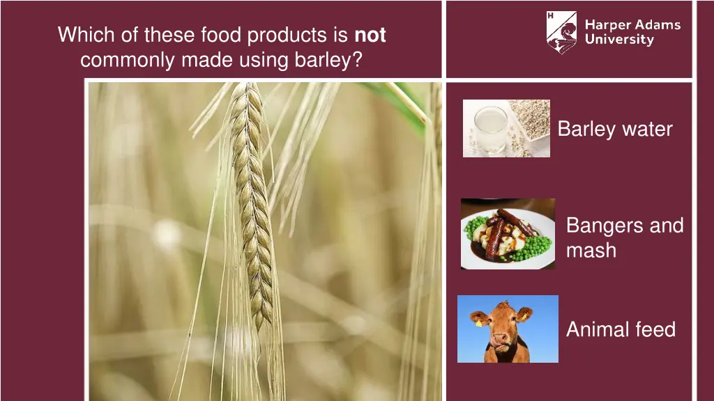 which of these food products is not commonly made 1