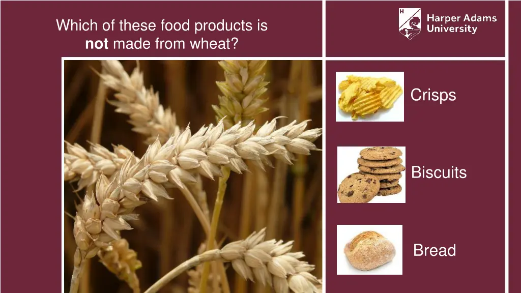 which of these food products is not made from