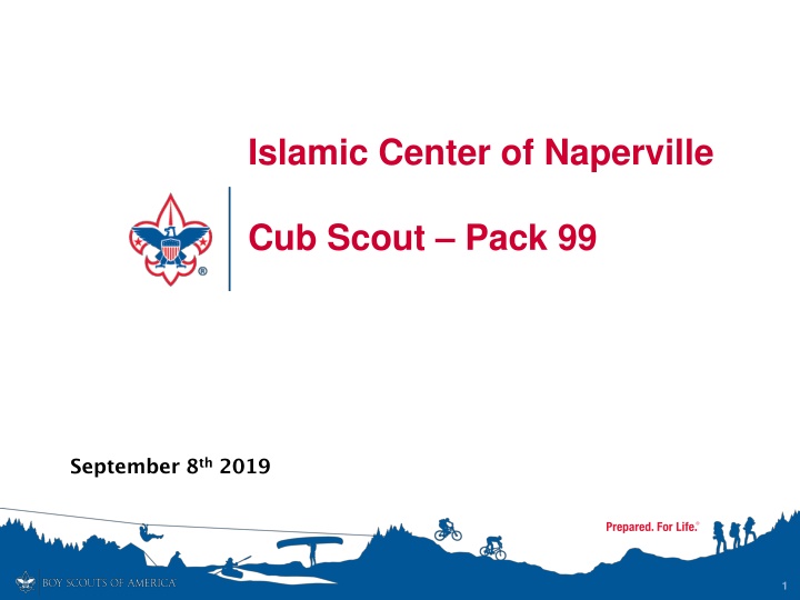 islamic center of naperville