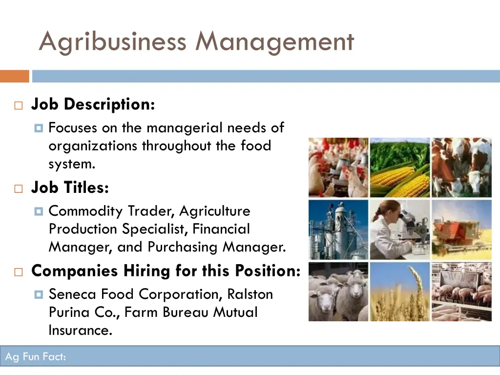 agribusiness management