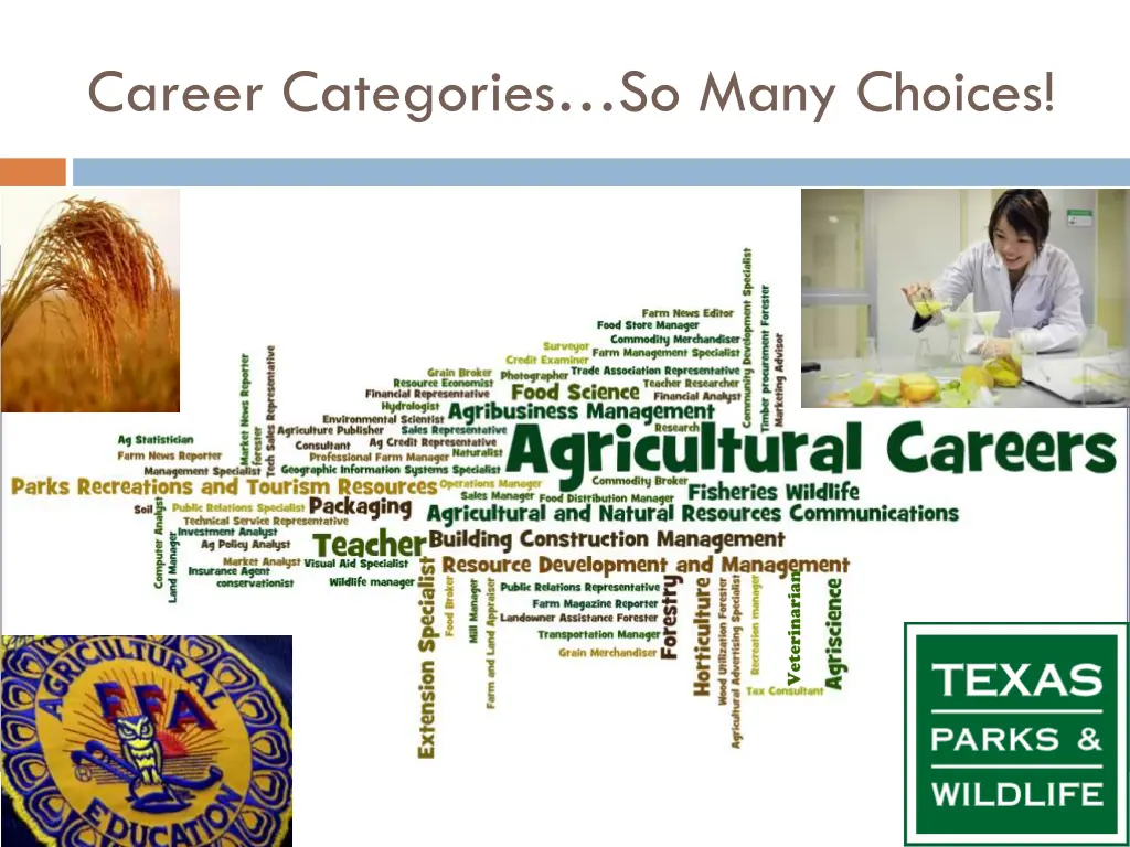 career categories so many choices