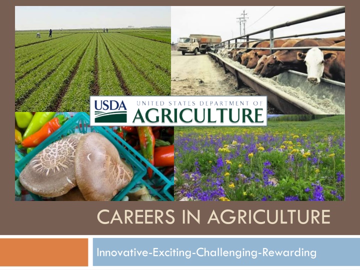 careers in agriculture