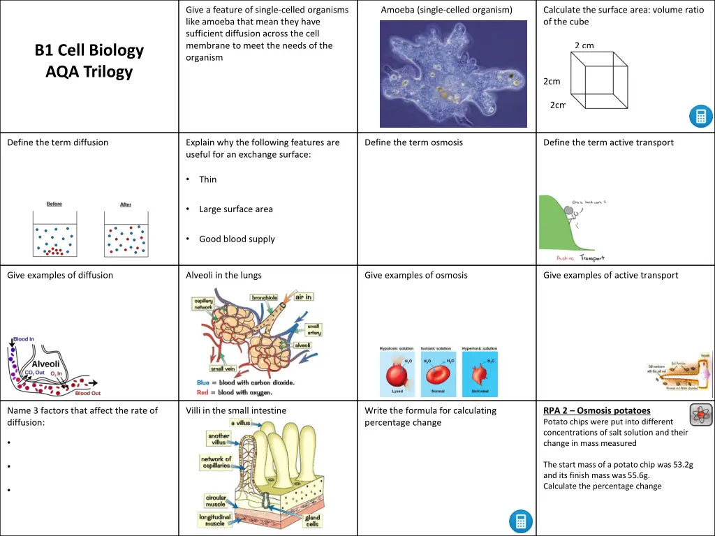 give a feature of single celled organisms like