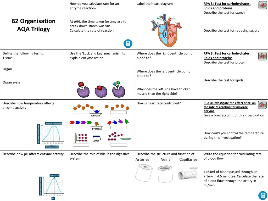 how do you calculate rate for an enzyme reaction