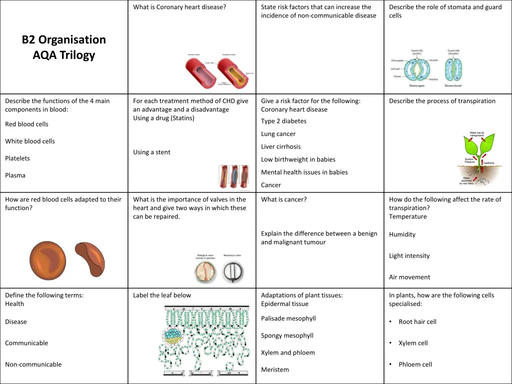 what is coronary heart disease