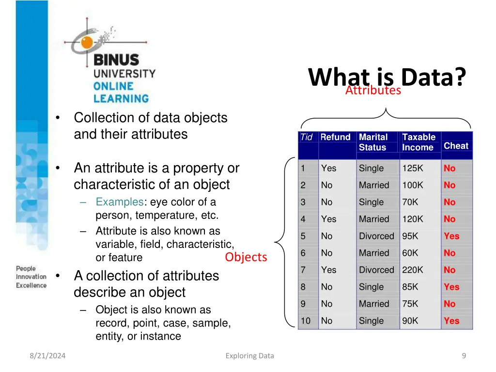 what is data attributes