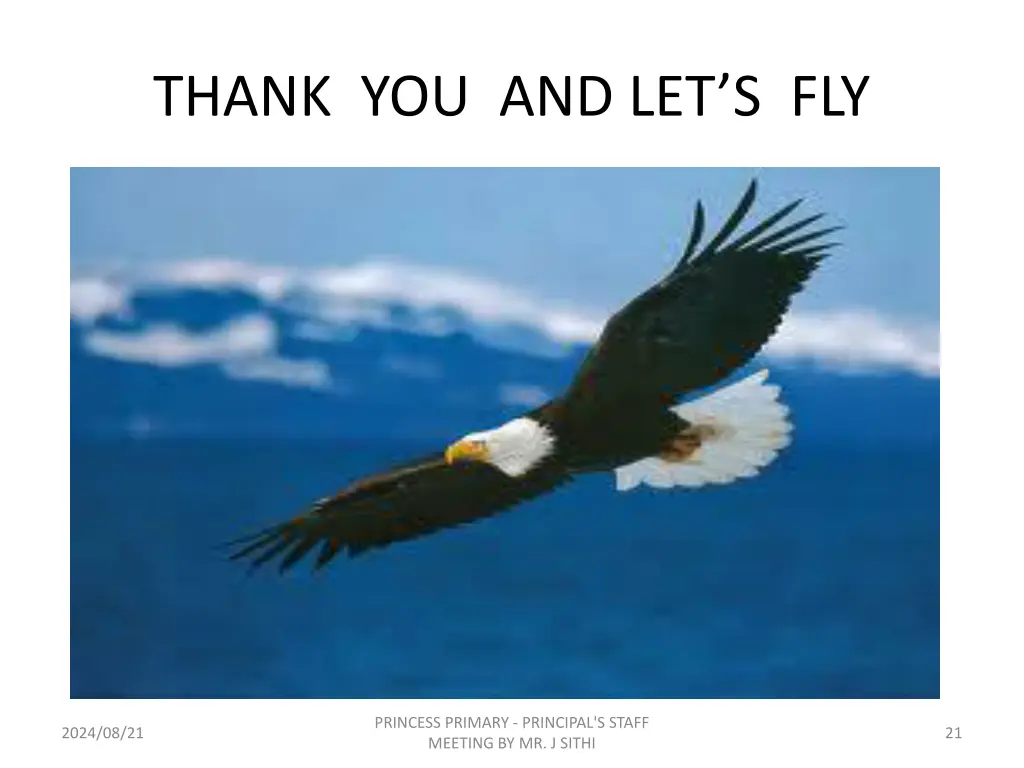 thank you and let s fly