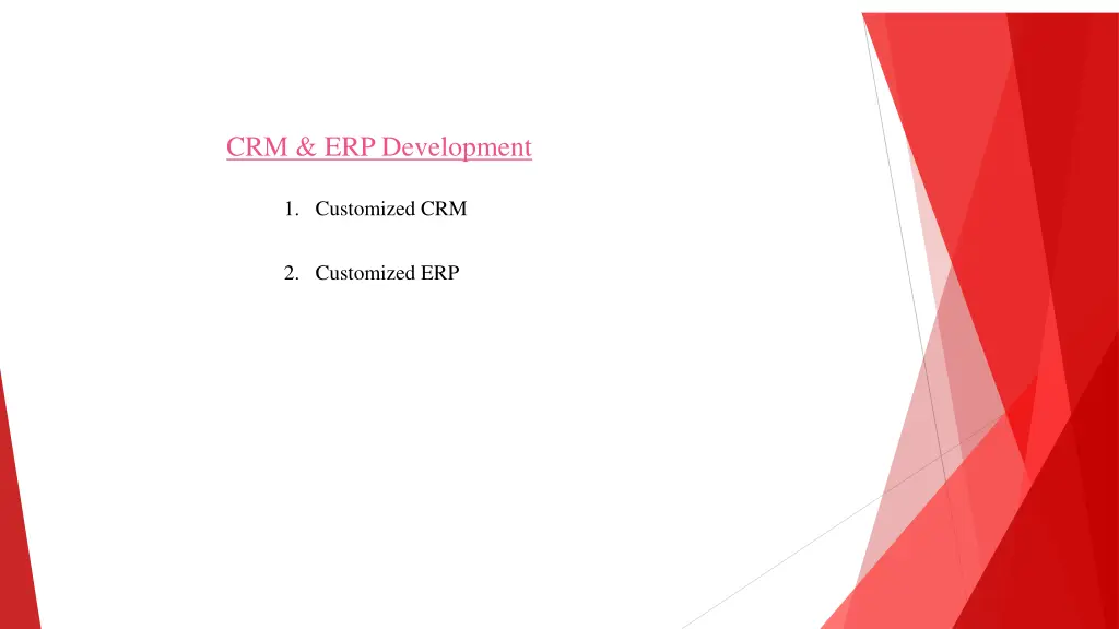 crm erp development