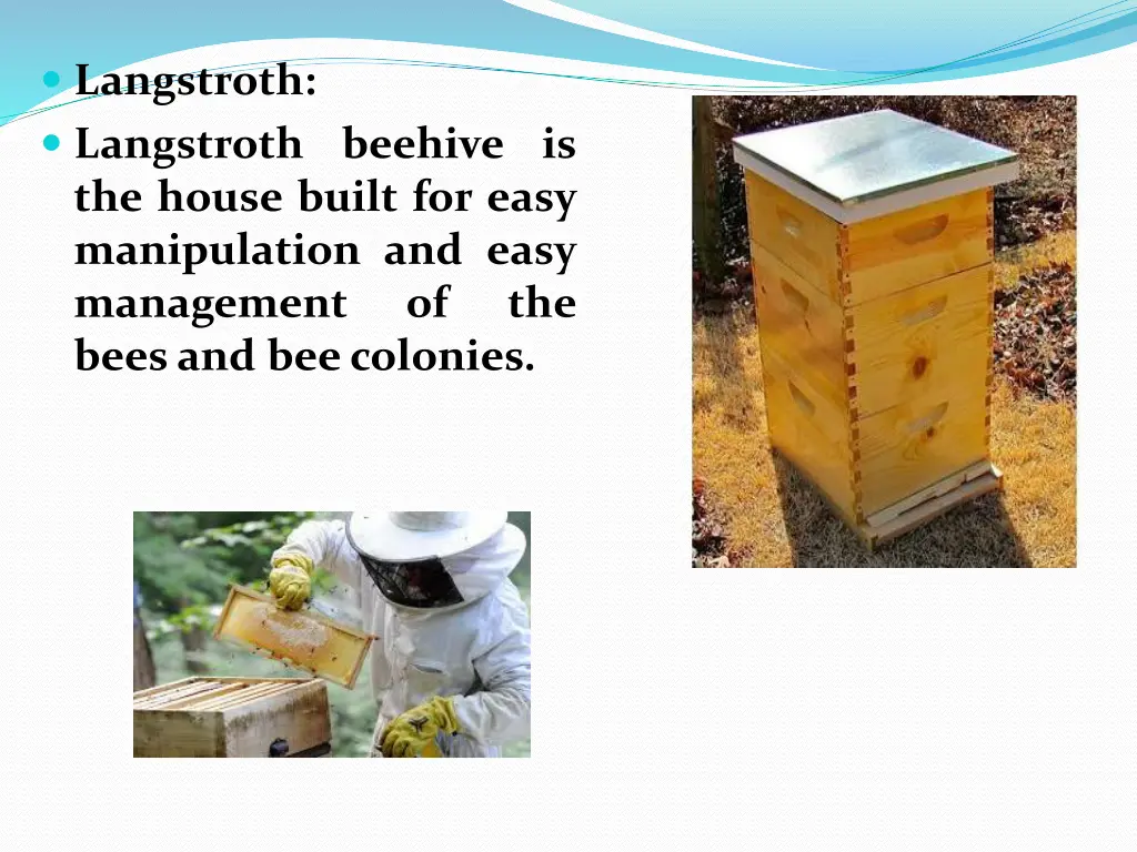 langstroth langstroth beehive is the house built