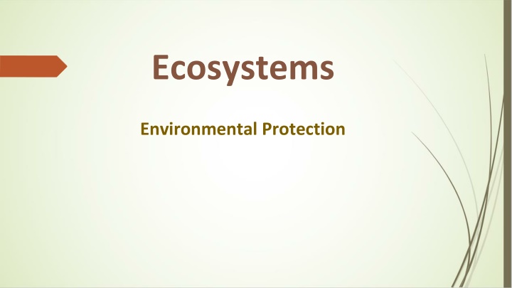 ecosystems