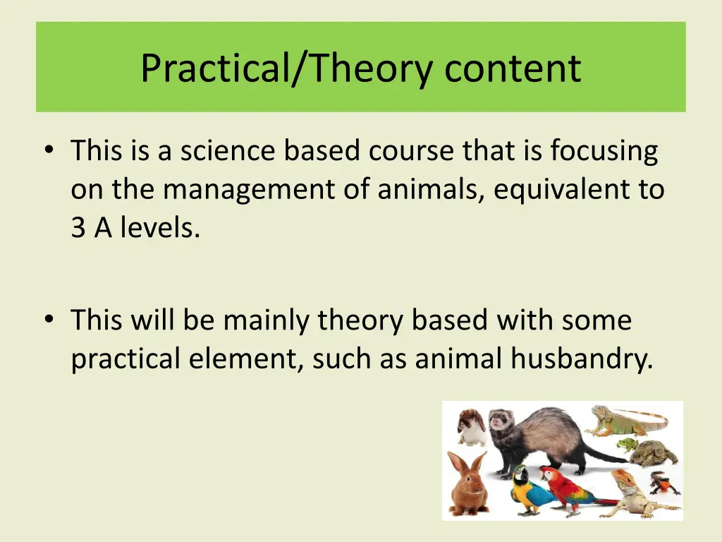 practical theory content