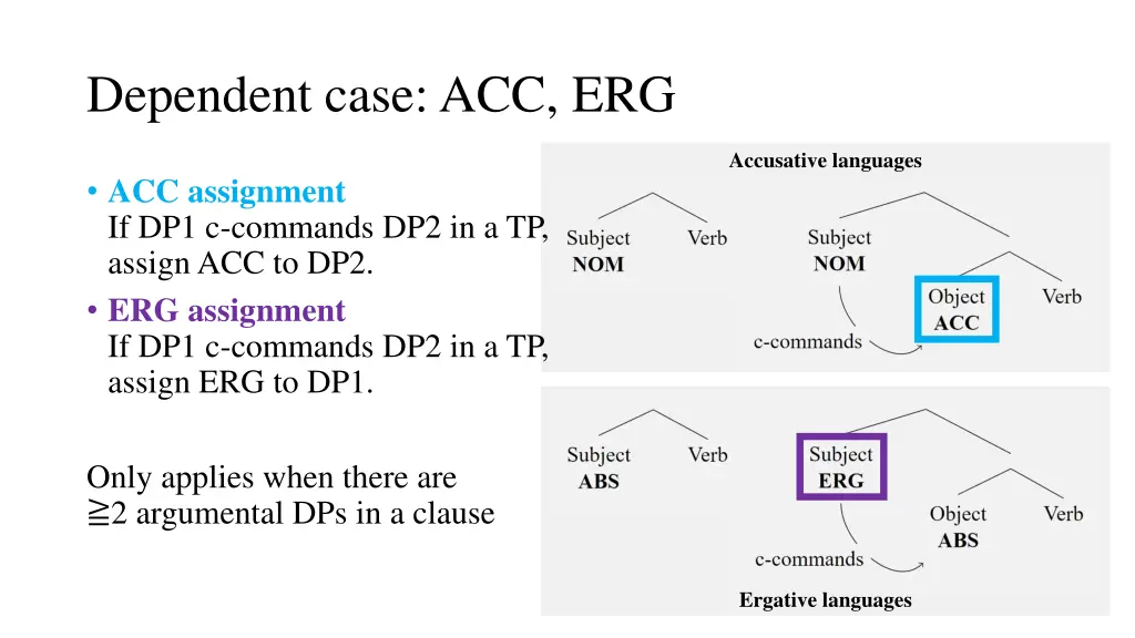 dependent case acc erg