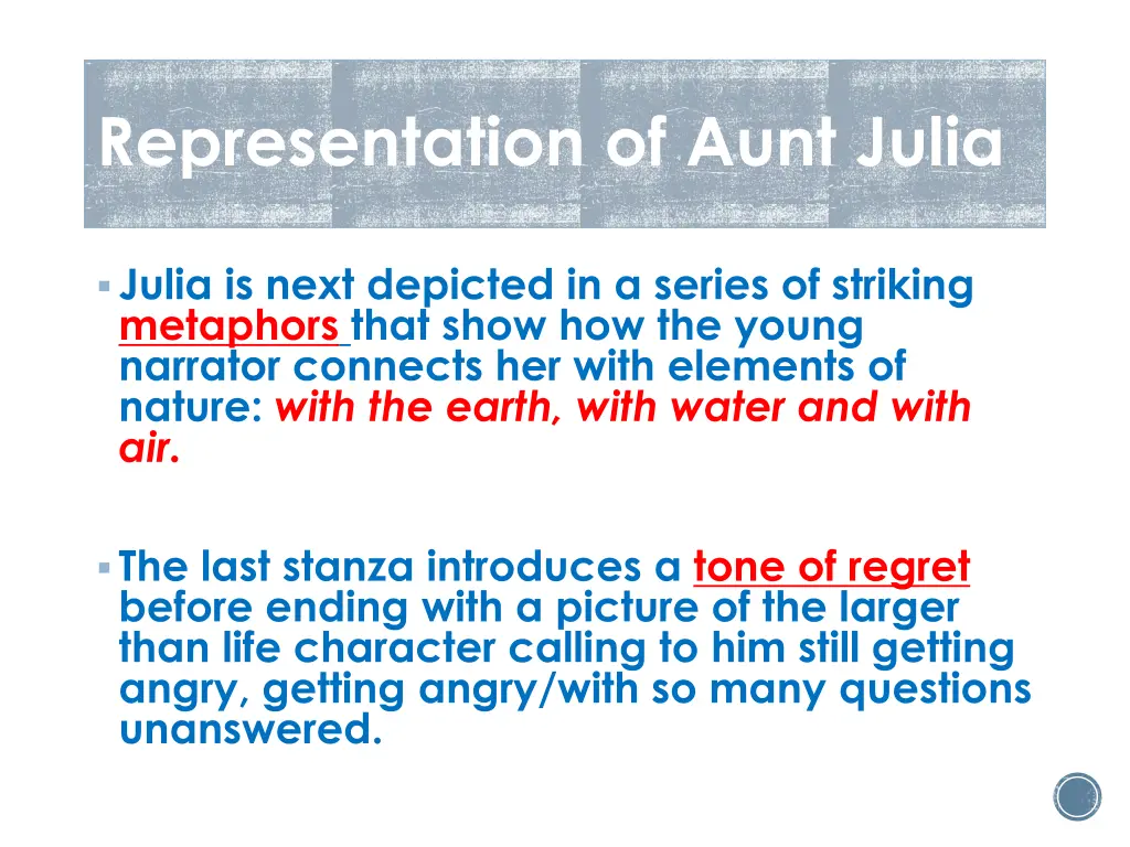 representation of aunt julia