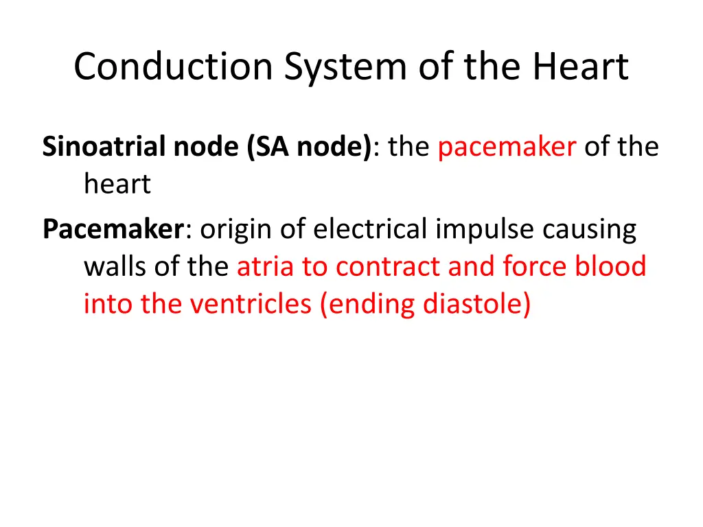 conduction system of the heart