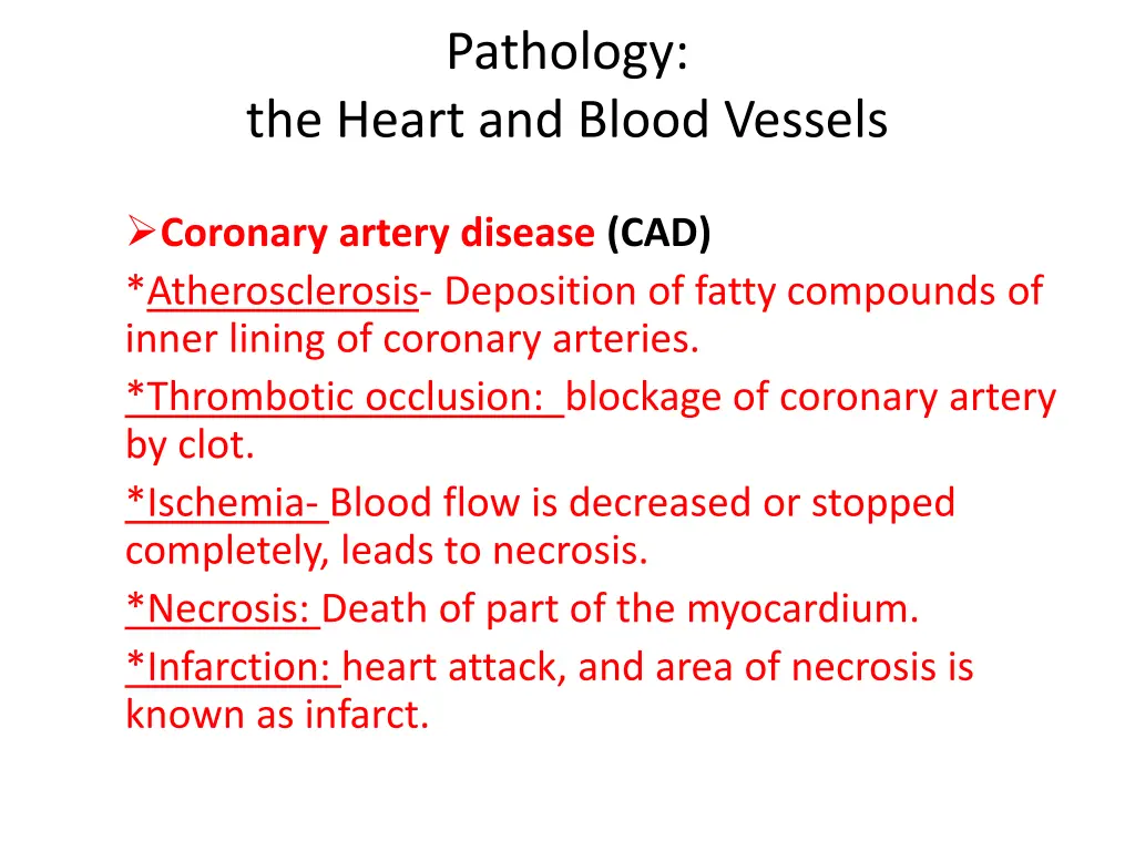 pathology 2